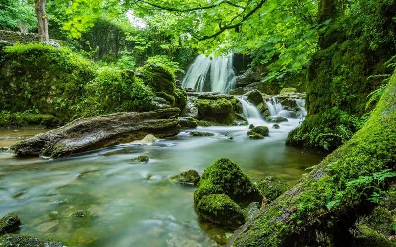 可靠性高标准可靠性